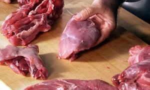 Польза и вред от мяса или жира нутрии