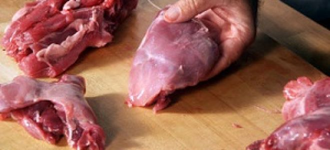 Польза и вред от мяса или жира нутрии