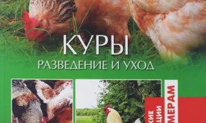 Лучшие книги по птицеводству