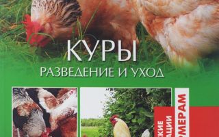 Лучшие книги по птицеводству