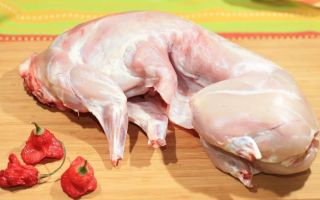 Польза и вред от употребления мяса кролика в пищу