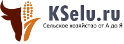 Kselu