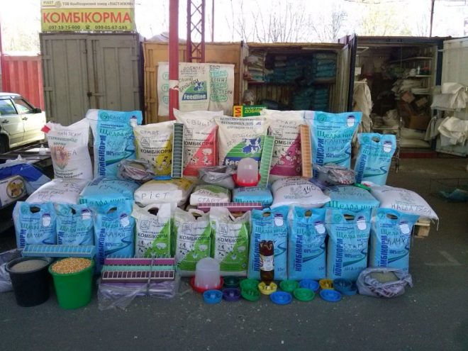 Стимуляторы роста и кормовые добавки необходимы свиньям