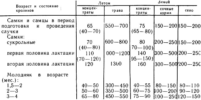 Таблица ежедневного расчета кормов для кроликов