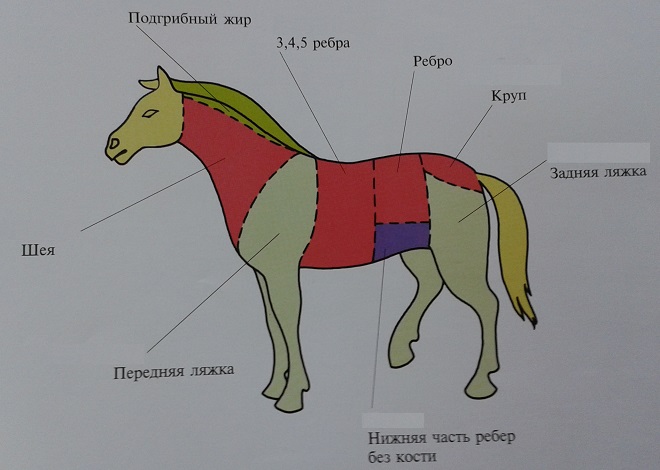 Разделка туши - настоящее искусство