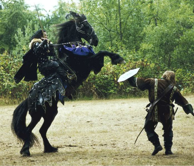 Фризская порода лошадей популярна в наше время