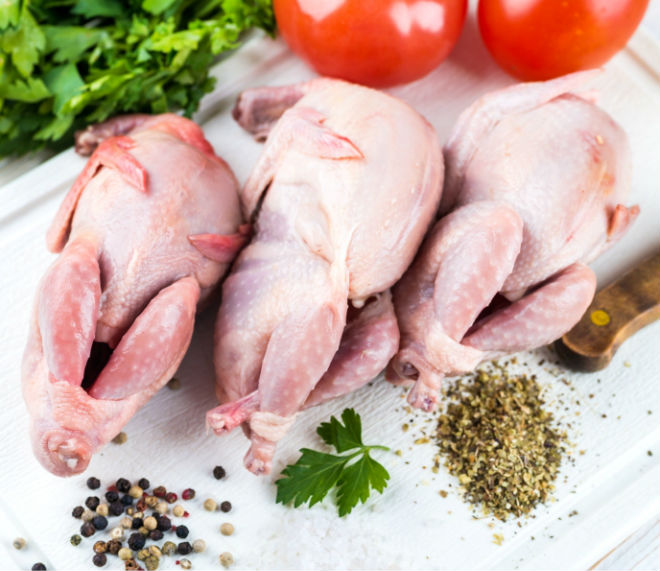 Многие выращивают перепелиных ради диетического мяса